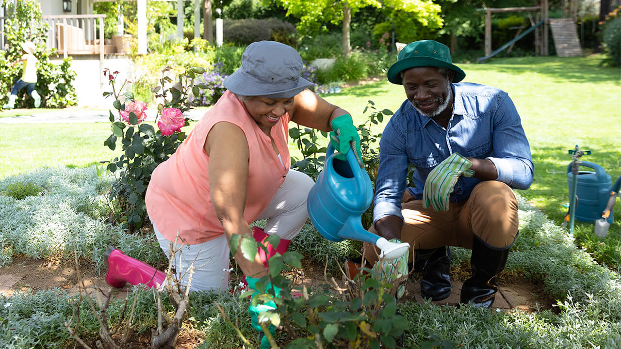 Image of an older couple gardening